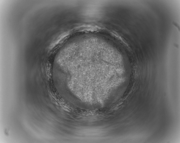 X0000102281399200808151916