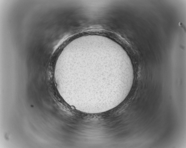 X0000102281400200808151917