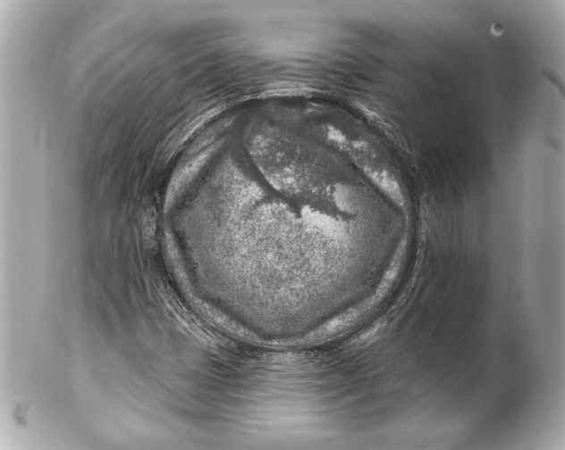 X0000102281401200808151917