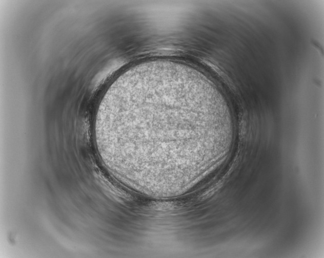 X0000102281402200808151917