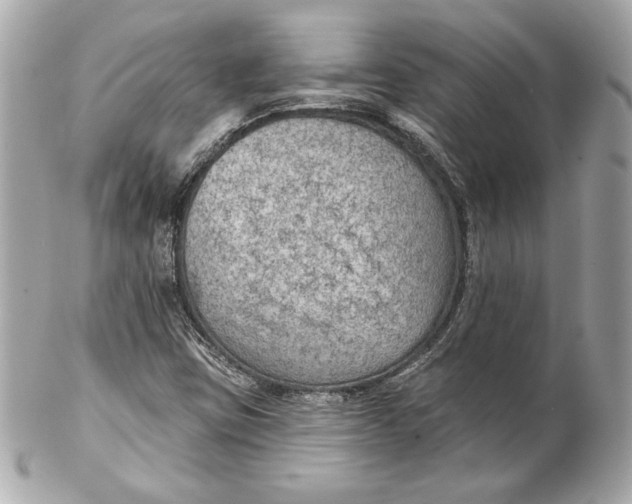 X0000102281403200808151917