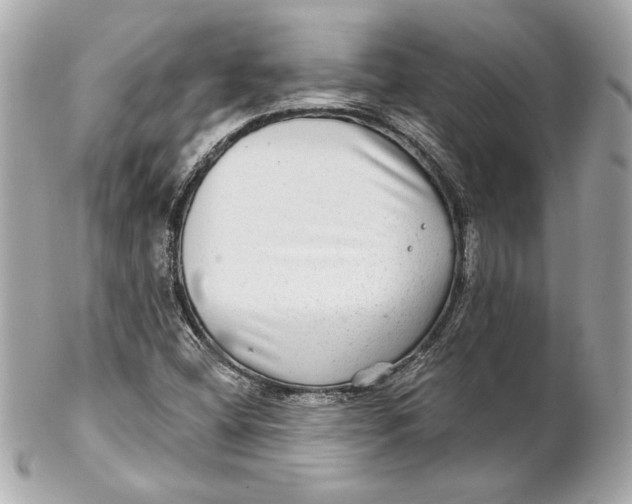 X0000102281404200808151917