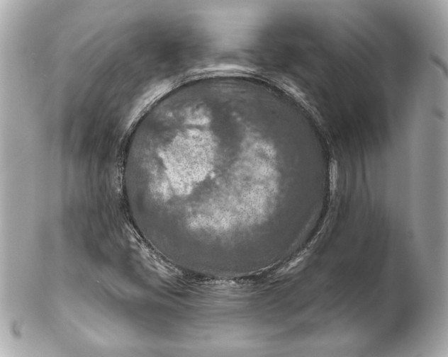 X0000102281405200808151917