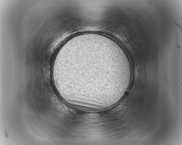 X0000102281406200808151917