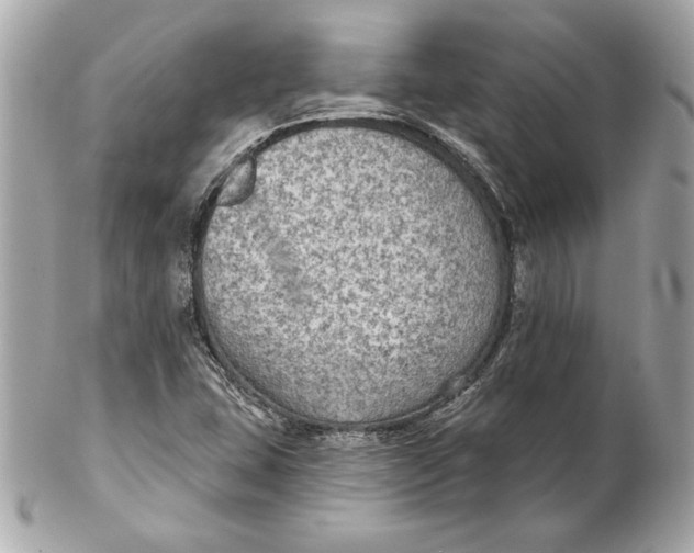 X0000102281407200808151917