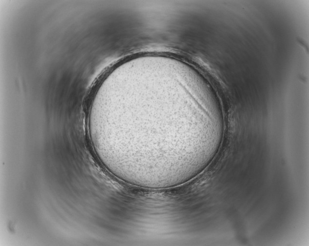 X0000102281408200808151917