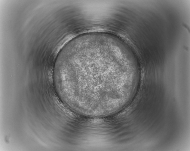 X0000102281409200808151917