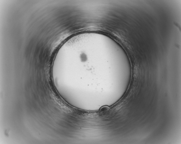 X0000102281410200808151917