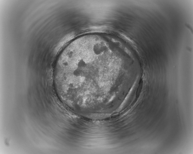 X0000102281411200808151917