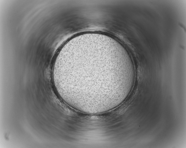 X0000102281412200808151917