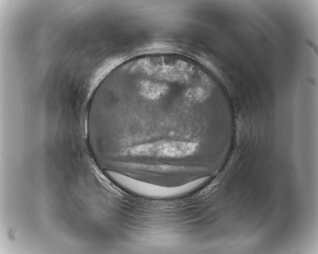 X0000102281413200808151917