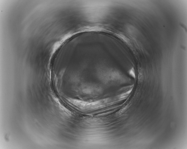 X0000102281414200808151917