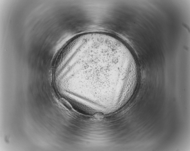 X0000102281415200808151917