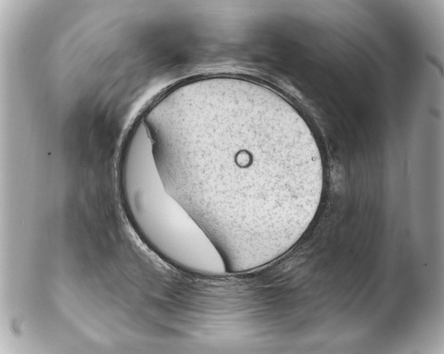 X0000102281416200808151917