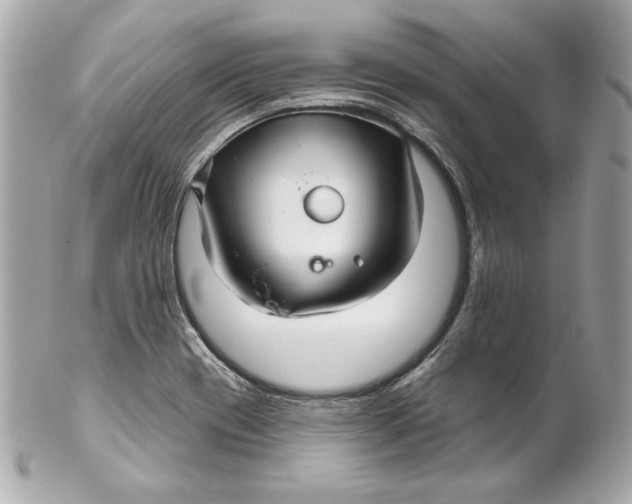 X0000102281417200808151917