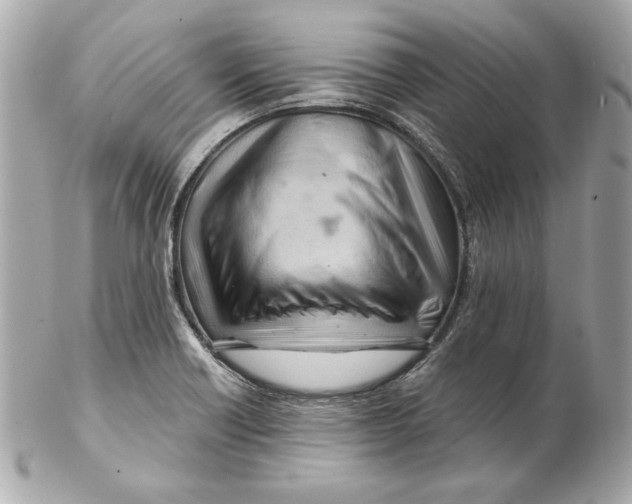 X0000102281418200808151917