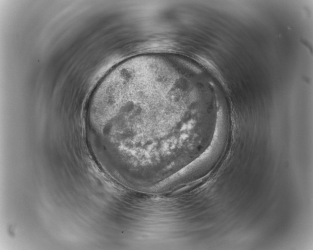 X0000102281419200808151917