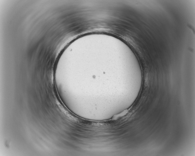 X0000102281420200808151917