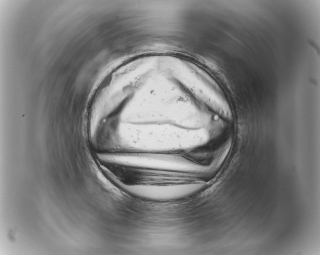 X0000102281421200808151917