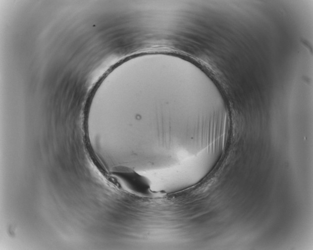 X0000102281422200808151917