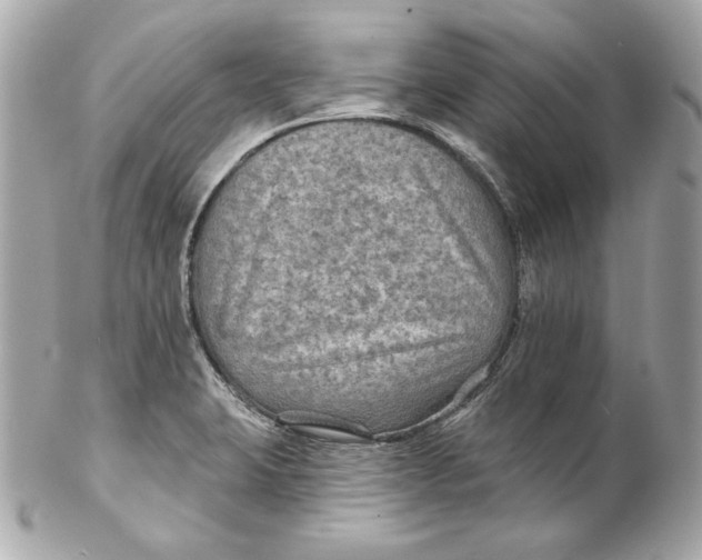 X0000102281423200808151917