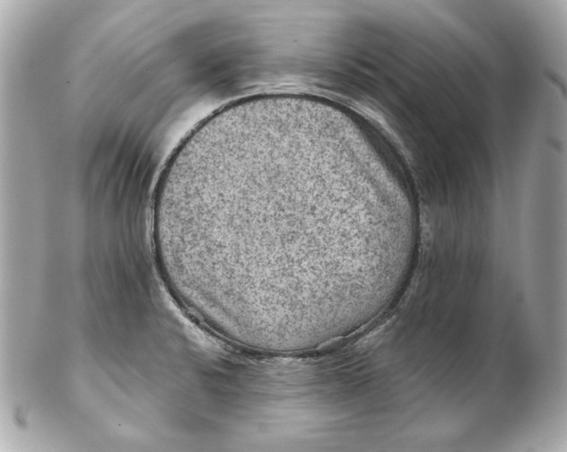 X0000102281424200808151917