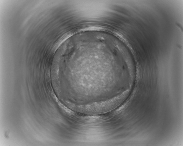 X0000102281425200808151917