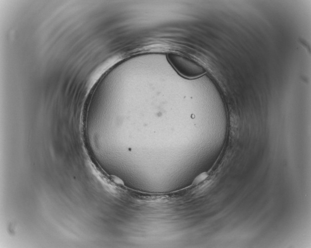 X0000102281426200808151917