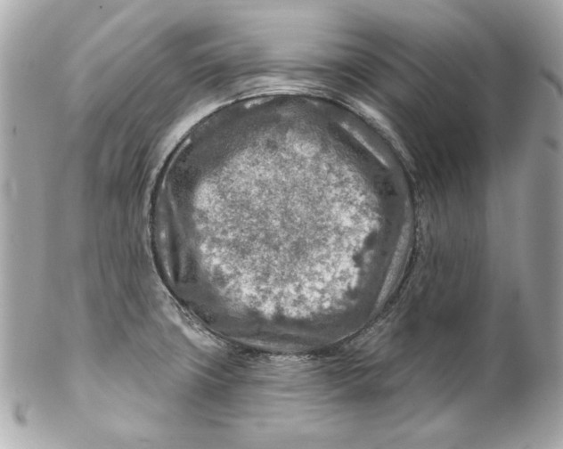 X0000102281427200808151917