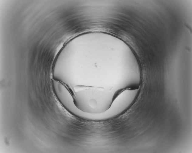 X0000102281428200808151917