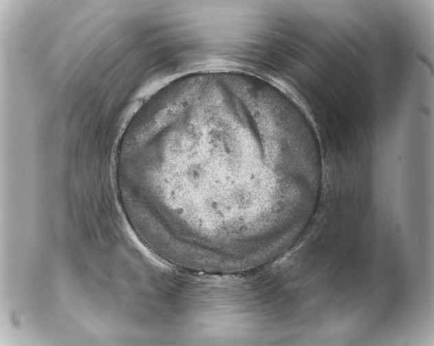 X0000102281429200808151917