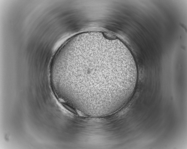 X0000102281430200808151917