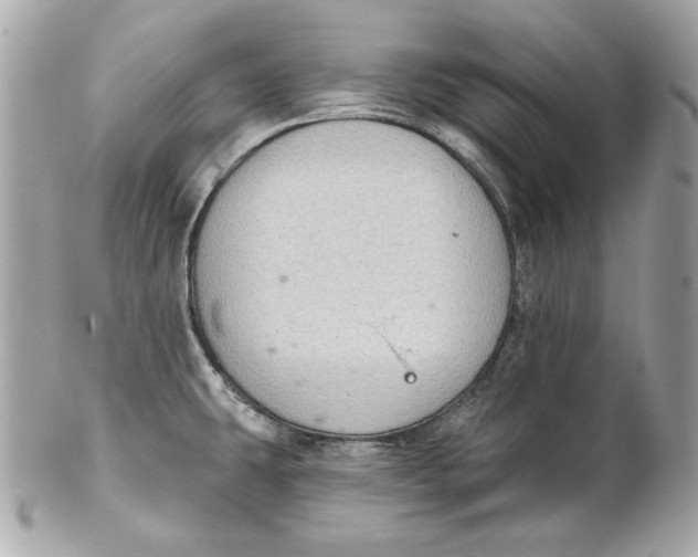 X0000102281431200808151917