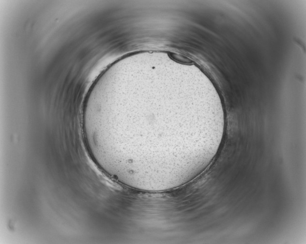 X0000102281432200808151917