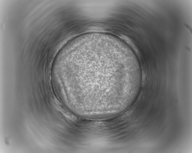 X0000102281435200808151917