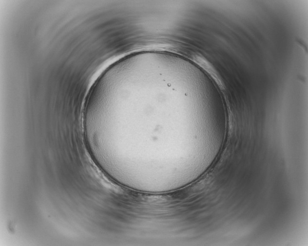 X0000102281436200808151917