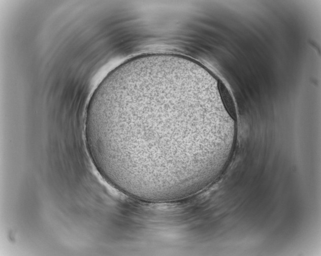 X0000102281437200808151917