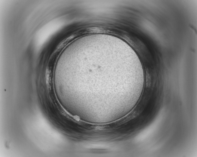 X0000102281438200808151917