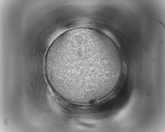 X0000102281439200808151917