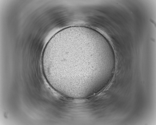 X0000102281440200808151917