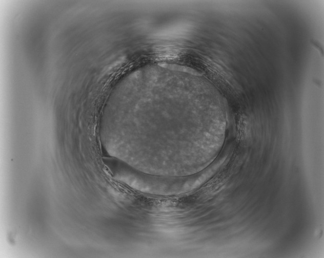 X0000102281441200808151916