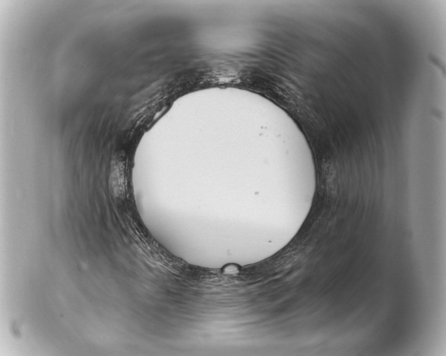 X0000102281442200808151916