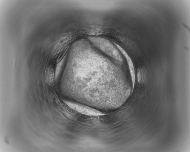 X0000102281444200808151916