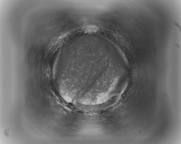 X0000102281445200808151916