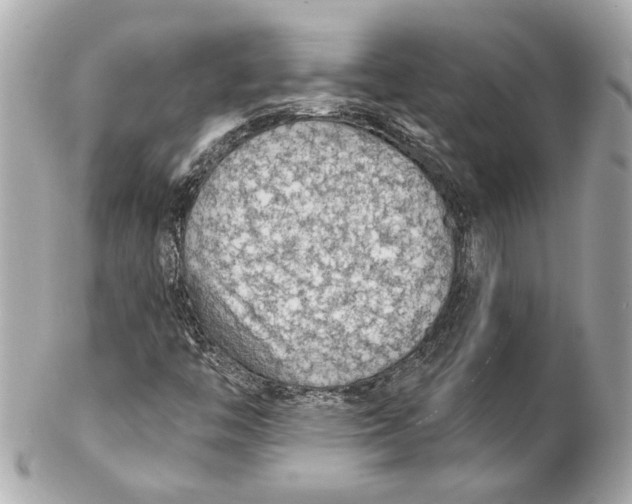 X0000102281446200808151916