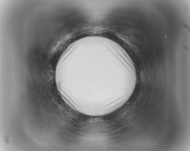 X0000102281447200808151916