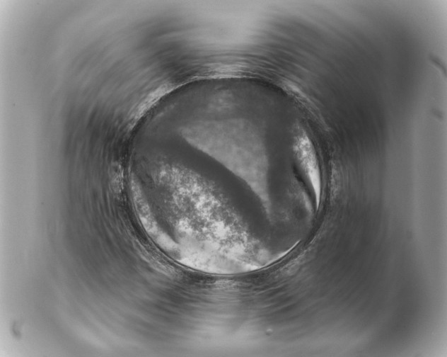 X0000102281449200808151916