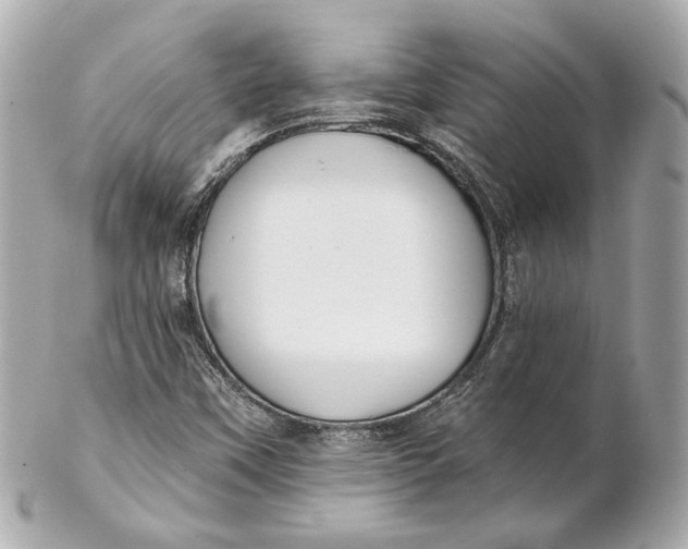 X0000102281451200808151916