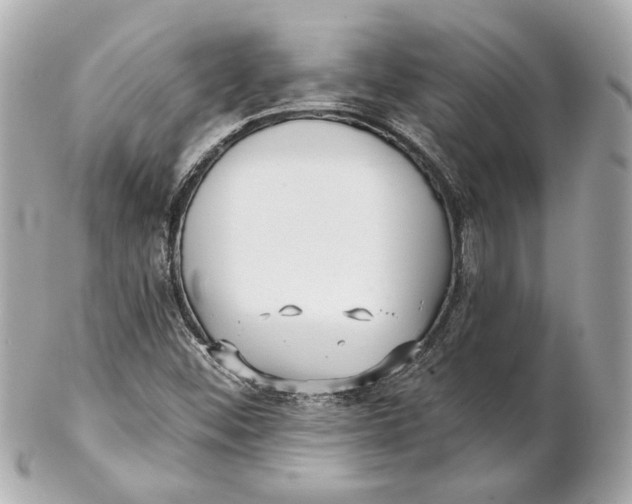 X0000102281452200808151916