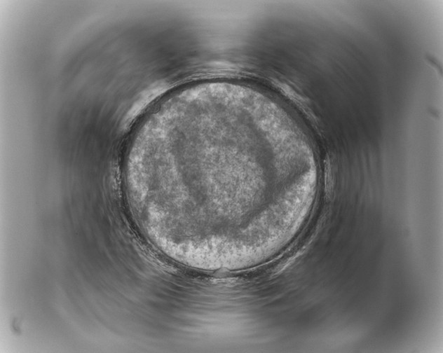 X0000102281453200808151916